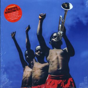 Common - A Beautiful Revolution Part 1 (Loma Vista)