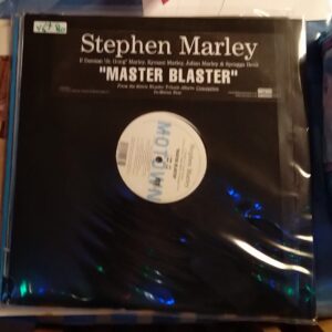 Stephen Marley - Master Blaster